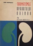 Traumatismele aparatului urinar - Petre Georgescu - Carte