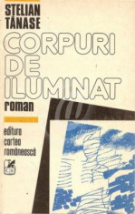 Corpuri de iluminat (Ed. Cartea romaneasca) foto