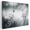 Tablou canvas flori papadii inghetate, alb, negru 1194 Tablou canvas pe panza CU RAMA 70x100 cm