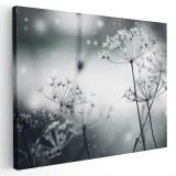 Tablou canvas flori papadii inghetate, alb, negru 1194 Tablou canvas pe panza CU RAMA 50x70 cm