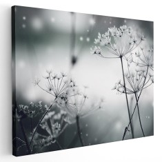 Tablou canvas flori papadii inghetate, alb, negru 1194 Tablou canvas pe panza CU RAMA 20x30 cm
