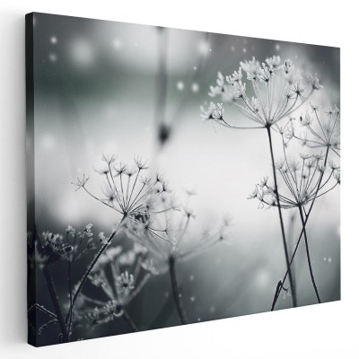 Tablou canvas flori papadii inghetate, alb, negru 1194 Tablou canvas pe panza CU RAMA 50x70 cm foto