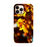 Husa compatibila cu Apple iPhone 14 Plus model Fall Pumpkins, Silicon, TPU, Viceversa