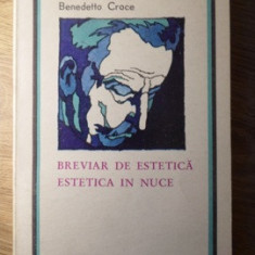 BREVIAR DE ESTETICA. ESTETICA IN NUCE-BENEDETTO CROCE