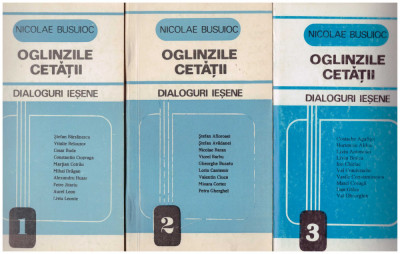 Nicolae Busuioc - Oglinzile cetatii - dialoguri iesene vol.1-3 - 130197 foto