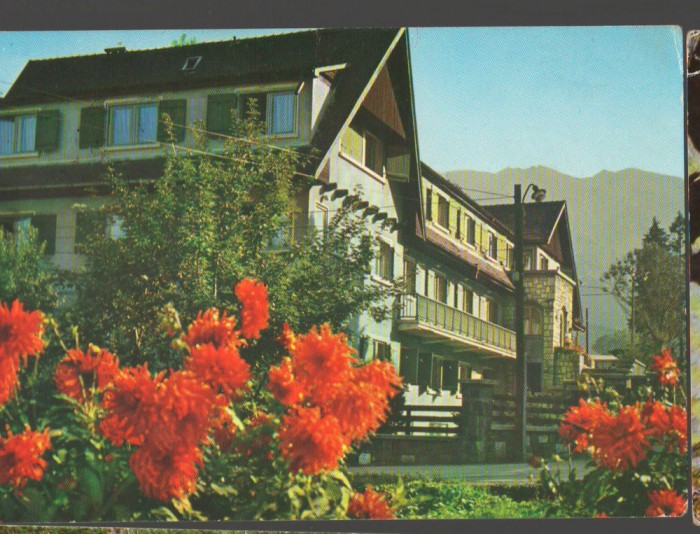 CPIB 19246 CARTE POSTALA - TIMISUL DE JOS. CABANA DAMBUL MORII, 1967