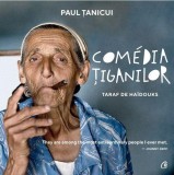 Comedia ţiganilor - Paperback brosat - Paul Țanicui - Curtea Veche, 2020