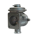 Meat &amp;amp; Doria Supapa EGR