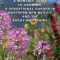 A Monthly Guide to Growing a Sensational Garden in Northern New Mexico and the Rocky Mountains