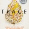 Trace: Memory, History, Race, and the American Landscape