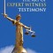 Mastering the Art of Expert Witness Testimony