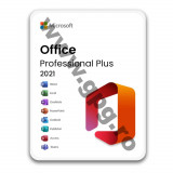 Stick USB cu licenta Office 2021 Professional Plus Binding, transferabila