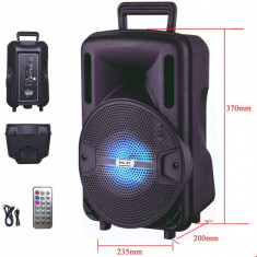 Boxa Portabila cu FM AUX SD USB MP3 si Telecomanda Ailiang LigeX1 foto