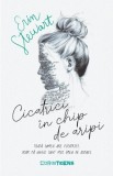 Cumpara ieftin Cicatrici In Chip De Aripi, Erin Stewart - Editura Corint