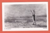 AMS - ILUSTRATA - N. GRIGORESCU - PASTORITA