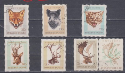 A12 S4 7 - Timbre foarte vechi - Ungaria - animale salbatice foto