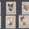A12 S4 7 - Timbre foarte vechi - Ungaria - animale salbatice
