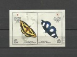 OMAN 2016 FAUNA INSECTE FLUTURI