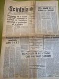 scanteia 24 iulie 1968-pietele timisorene,bumbesti livezeni,sibiu,oradea