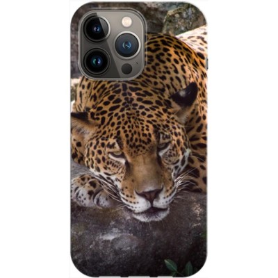 Husa compatibila cu Apple iPhone 13 Pro Max model Leopard, Silicon, TPU, Viceversa foto