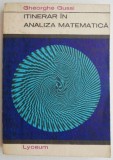 Itinerar in analiza matematica &ndash; Gheorghe Gussi