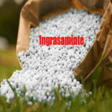 Ingrasamant complex NPK 0-12-23 + 4%Mg sac 50 kg