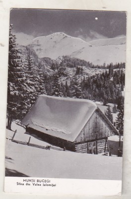 bnk cp Muntii Bucegi - Stana din Valea Ialomitei - circulata foto