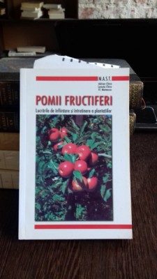 POMII FRUCTIFERI - ADRIAN CHIRA foto