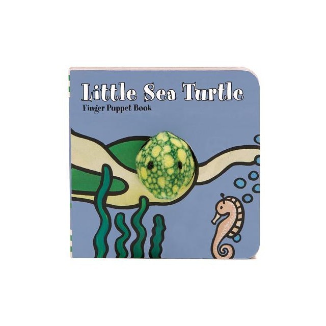 Little Sea Turtle