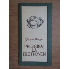 Richard Wagner - Pelerinaj la Beethoven