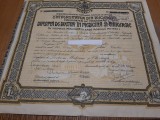 DIPLOMA DE DOCTOR IN MEDICINA SI CHIRURGIE 1944 cu Timbre Fiscale