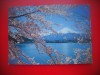 HOPCT 5268 LACUL KAWAGUCHI PRIMAVARA -FUJI -JAPONIA -ASIA-NECIRCULATA, Printata
