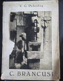 Album C. Br&acirc;ncuși - V. G. Paleolog