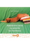 Adevarata carte cu pisicile lui Tocilescu | Alex Tocilescu, ART