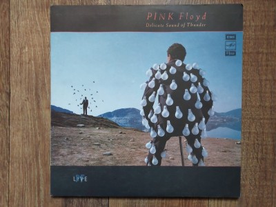 Pink Floyd - Delicate sound of thunder - vol 1, 2 - disc vinil Melodia URSS, stare excelenta foto