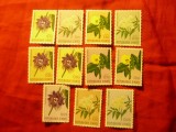 Serie Haiti 1965 - Flori , 11 valori
