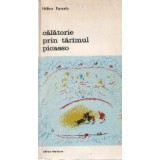 Calatorie prin tarimul Picasso