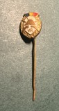 Insigna pin veteran de razboi