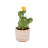 Ghiveci decorativ cu Cactus artificial, 27 cm, ATU-082048, Oem