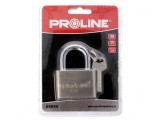 Lacăt cu cheie 50mm pentru porți și dulăpioare, Proline