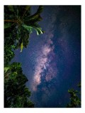 Tablou Canvas Calea Lactee printre frunzele tropicale Natura Galaxie, 26 x 39 cm, CMCLASS