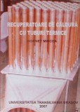 RECUPERATOARE DE CALDURA CU TUBURI TERMICE-MIRCEA HORNET-277453