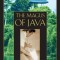 The Magus of Java: Teachings of an Authentic Taoist Immortal