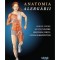 Anatomia alergarii