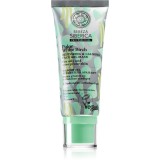 Cumpara ieftin Natura Siberica Polar White Birch masca regeneratoare si calmanta pentru ten gras si problematic 100 ml