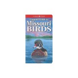 Compact Guide to Missouri Birds