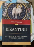 Bizantinii : stat, religie si viata cotidiana &icirc;n Imperiul Bizantin / Averil Cameon