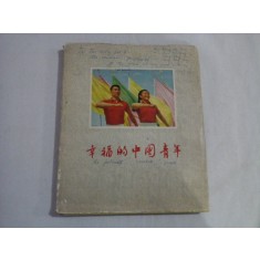 HAPPY YOUTH OF CHINA - WANG LEE JUNG (ALBUM)