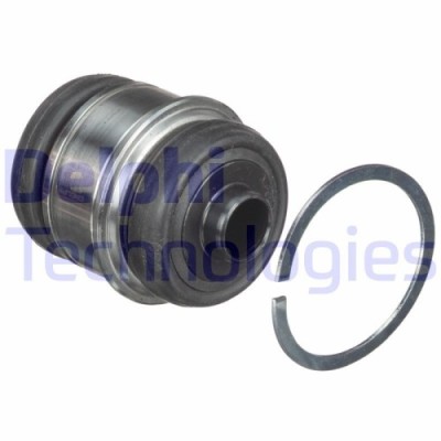 Delphi suport, ax foto