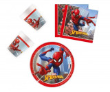 Cumpara ieftin Set vesela petrecere Spiderman Crime Fighter 36 Piese